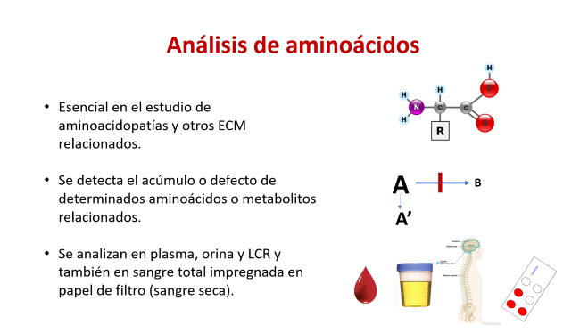 Análisis aminoacidos Guía Metabólica