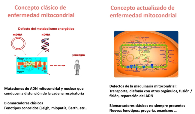 Concepto clásico de enfermedad mitocondrial