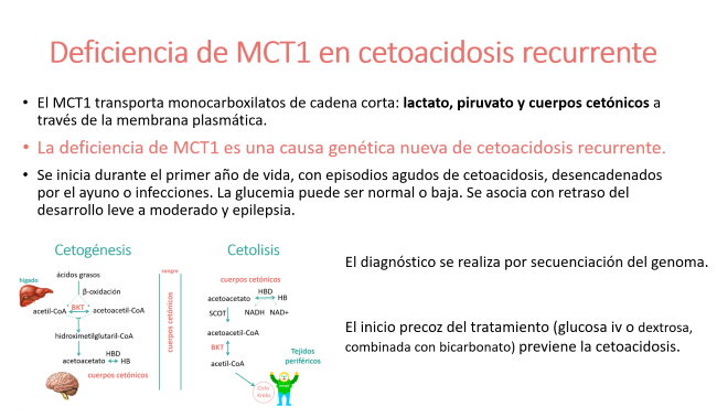 Carenza diMCT1 chetoacidosi ricorrente guida metabolica Ospedale Sant Joan de Déu Barcellona