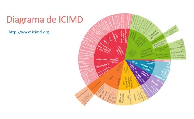 Diagrama de ICIMD