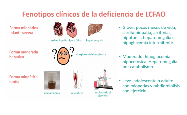 Fenotipos clínicos de la deficiencia de LCFA. Guía Metabólica Hospital Sant Joan de Déu Barcelona