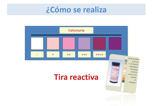 Interpretación de Cetonas en Sangre en Dieta Cetogénica