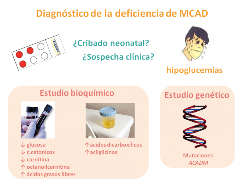 Diagnóstico de la MCAD
