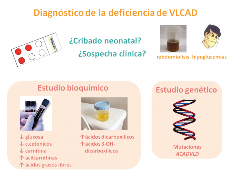 Diagnóstico de la VLCAD