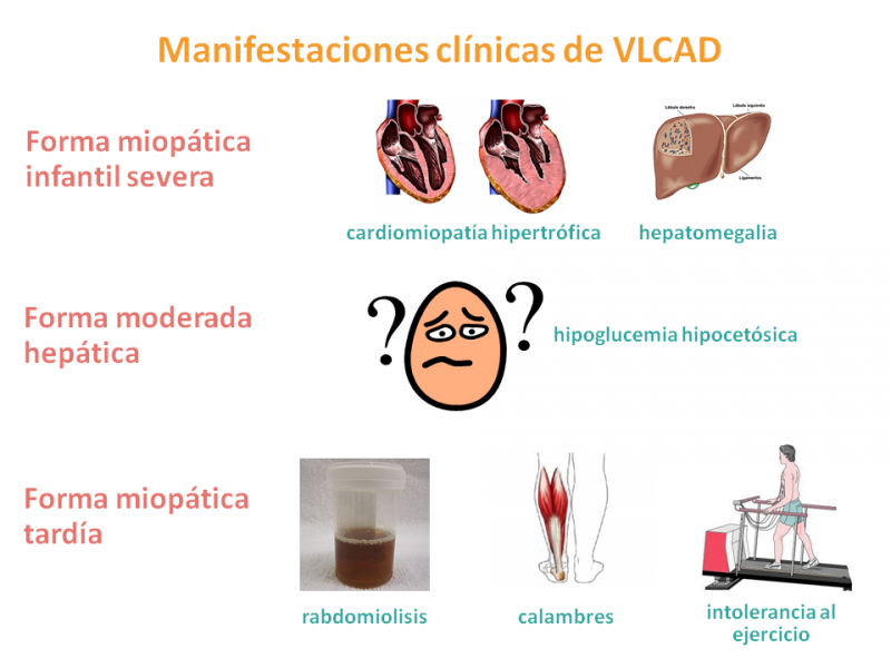 Manifestaciones clínicas en la VLCAD