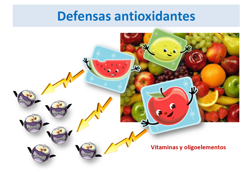 Defensas antioxidantes