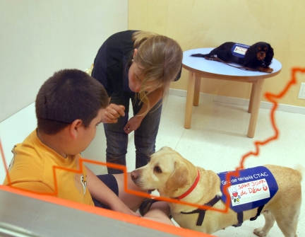 Intervención asistida con animales en el Hospital Sant Joan de Déu