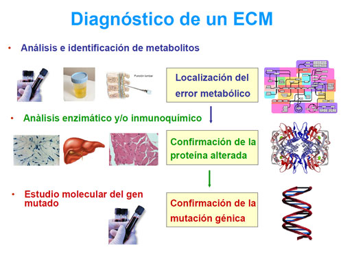 Diagnóstico de un ECM