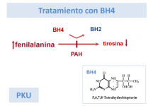 Tratamiento con BH4