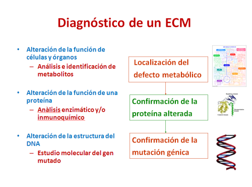 Diagnóstico de un ECM