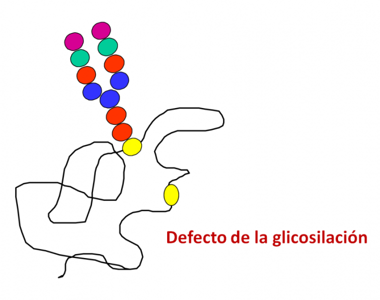 Defecto de la glicosilación
