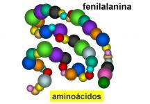 ¿Qué es la fenilalanina?