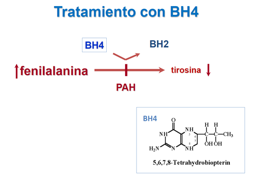 Tratamiento con tetrahidrobiopterina (BH4)