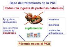 Base del tratamiento de la PKU