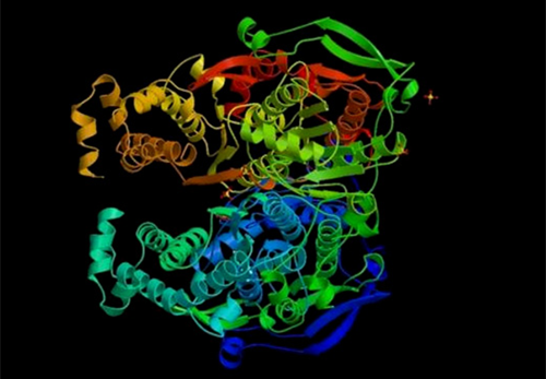 Estructura tridimensional de las proteínas
