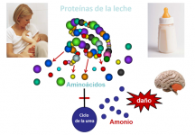 Proteínas de la leche / Amonio