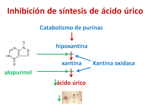 Inhibición de síntesis del ácido úrico