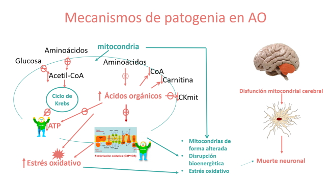 Mecanismos de patogenia