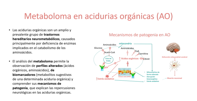 Metaboloma en acidurías orgánicas (AO)