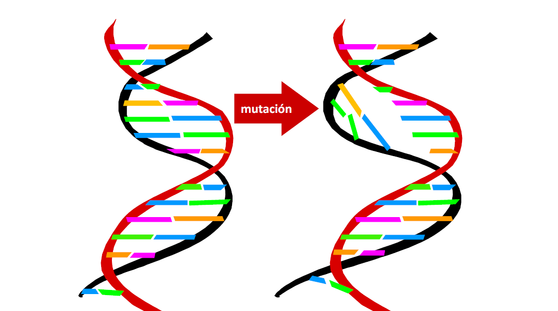 mutacion gen ALDH3A2