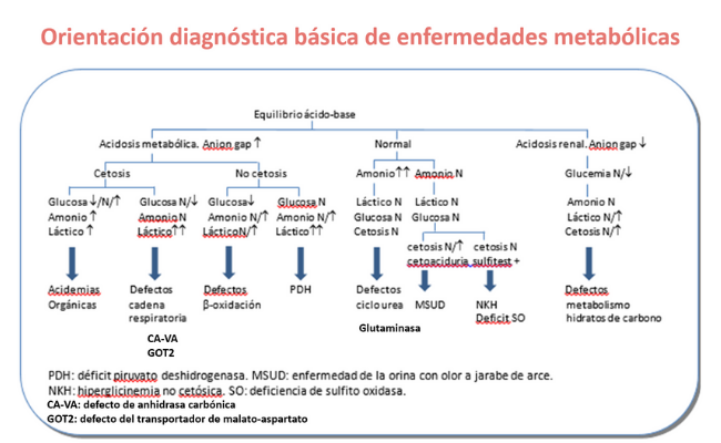 Orientación diagnóstica básica de enfermedades metabólicas. Guía Metabólica Hospital Sant Joan de Déu Barcelona
