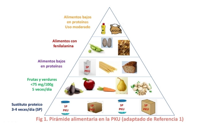Puntos clave para una dieta equilibrada/vida sana con PKU 