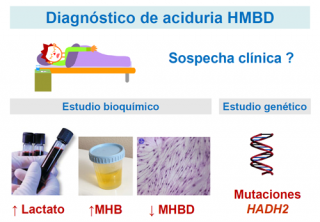¿Cómo se diagnostica una deficiencia de MHBD?