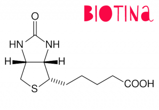 ¿Qué es la biotina?