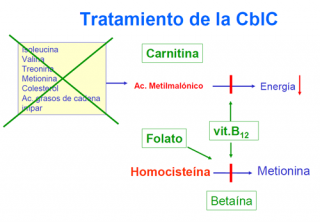 Tratamiento de la homocistinuria con aciduria metilmalonica (CblC)
