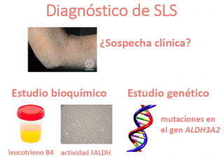 Diagnóstico de SLS