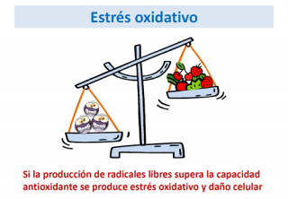 Estrés oxidativo en las enfermedades metabólicas hereditarias (ECM)