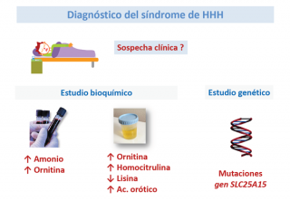 Diagnóstico de un síndrome de HHH.