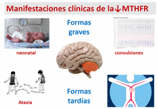¿Cómo se presenta clínicamente la  deficiencia de MTHFR?