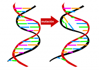 Mutación. Imagen:HSJDBCN