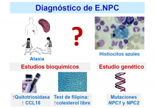 Cuáles son las consecuencias de una enfermedad de NPC?