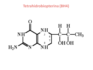 Tetrahidrobiopterina (BH4). Imagen: HSJDBCN