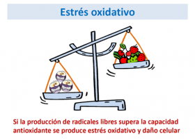 Estrés oxidativo en las enfermedades metabólicas hereditarias (ECM)