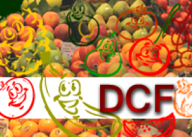 Deficiencia cerebral de folato (DCF)