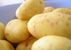 Patatas