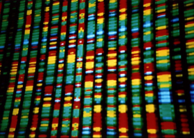 Representación del DNA. Foto: Andy Leppard