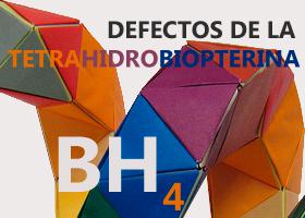 Defectos de la tetrahidrobiopterina (BH4). Imagen: HSJDBCN