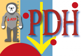 Deficiencia de piruvato deshidrogenasa (PDH). Imagen: HSJDBCN