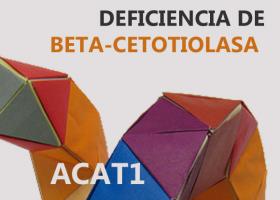 Deficiencia de beta-cetotiolasa (BKT)
