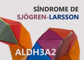 Síndrome de Sjögren-Larsson (SLS)