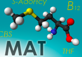 Deficiencia de metionina adenosil-transferasa (MAT)