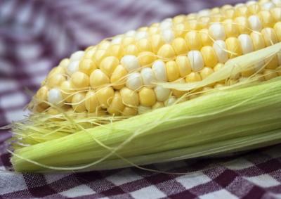 Mazorca de maíz. Imagen: Liz West en Flickr (CC BY 2.0)