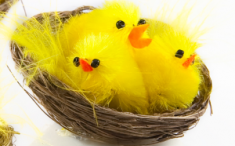 Menú de Semana Santa