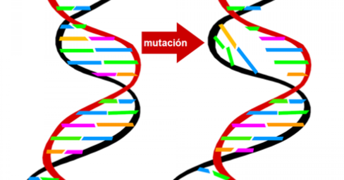 Detalle 11+ imagen dibujos de mutación