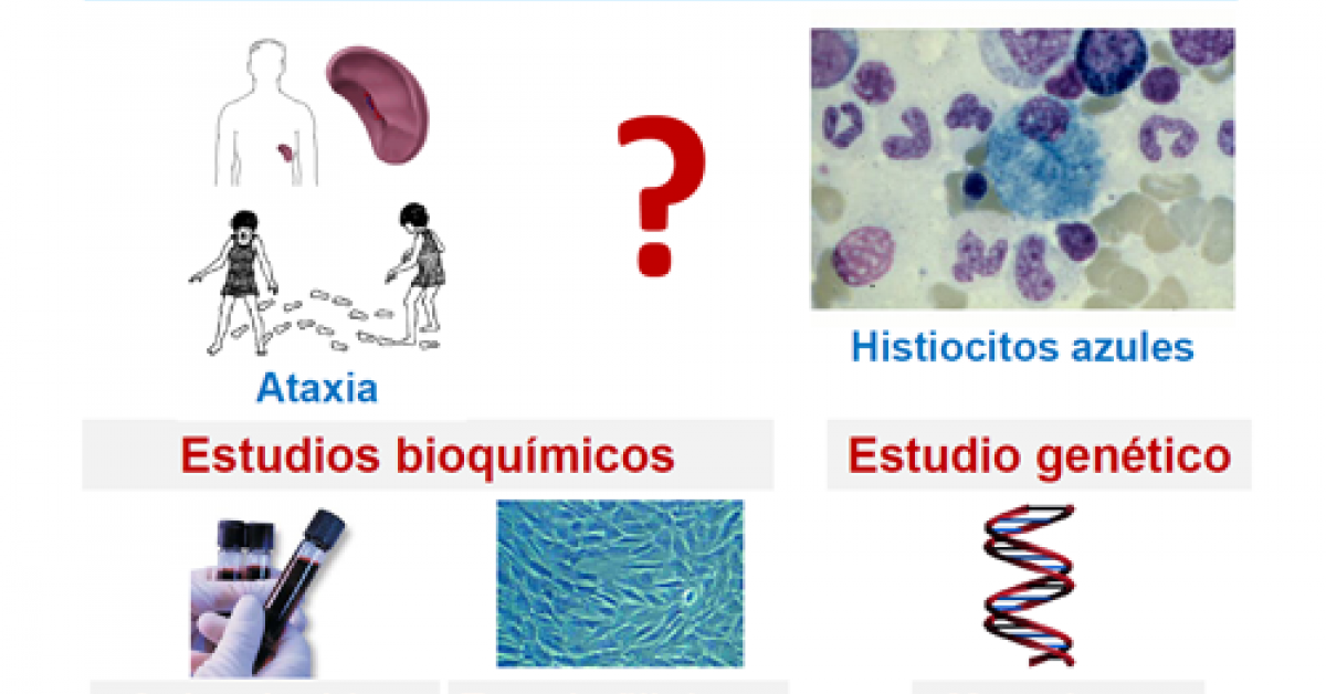 Cuáles son las consecuencias de una enfermedad de NPC?