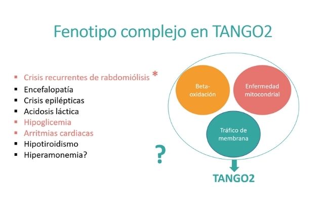 Fenotipo complejo en TANGO2